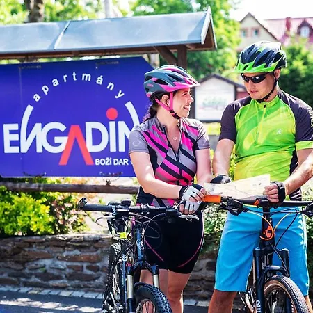 Domecheck Boží Dar