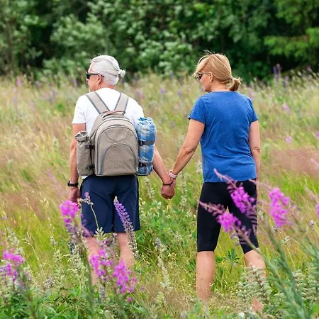 Domecheck * Boží Dar