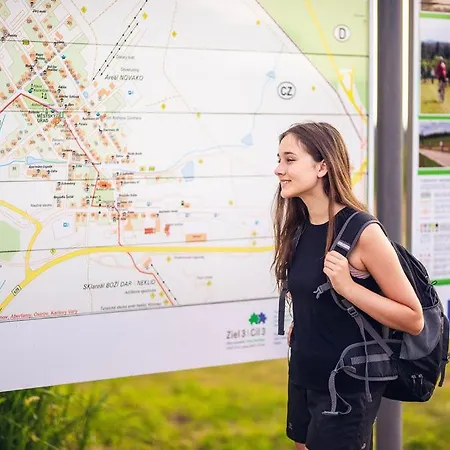 Domecheck * Boží Dar