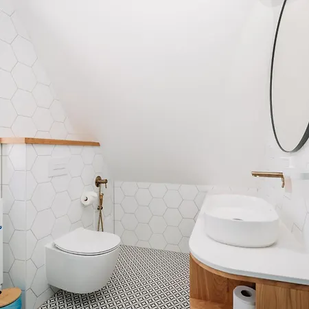 Domecheck Dağ evi Boží Dar